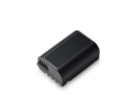 DMW-BLK22E - Batteria ricaricabile per LUMIX S5, 7,2V, 2200mAh