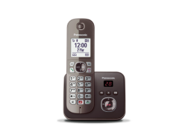 KX-TG6861GA - Schnurloses Telefon