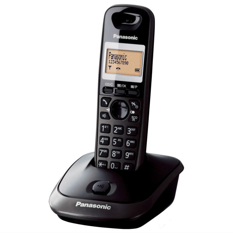 Telefono cordless con segreteria telefonica KX-TG2521, grigio titanio